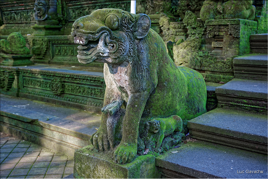 Au cur de la forêt sacrée, on trouve également le temple hindou de Pura Dalem Agung qui est dédié aux mauvais esprits. (5)