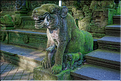 Au cur de la forêt sacrée, on trouve également le temple hindou de Pura Dalem Agung qui est dédié aux mauvais esprits. (5)