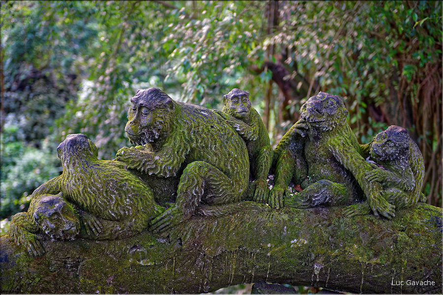 Au cur de la forêt sacrée, on trouve également le temple hindou de Pura Dalem Agung qui est dédié aux mauvais esprits. (7)