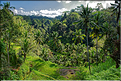 Le temple hindoue de Gunung Kawi se trouve au fond d'une vallée luxuriante. (5)