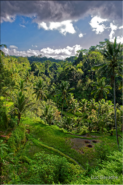 Le temple hindoue de Gunung Kawi se trouve au fond d'une vallée luxuriante. (6)
