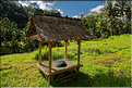 Le temple hindoue de Gunung Kawi se trouve au fond d'une vallée luxuriante. (9)
