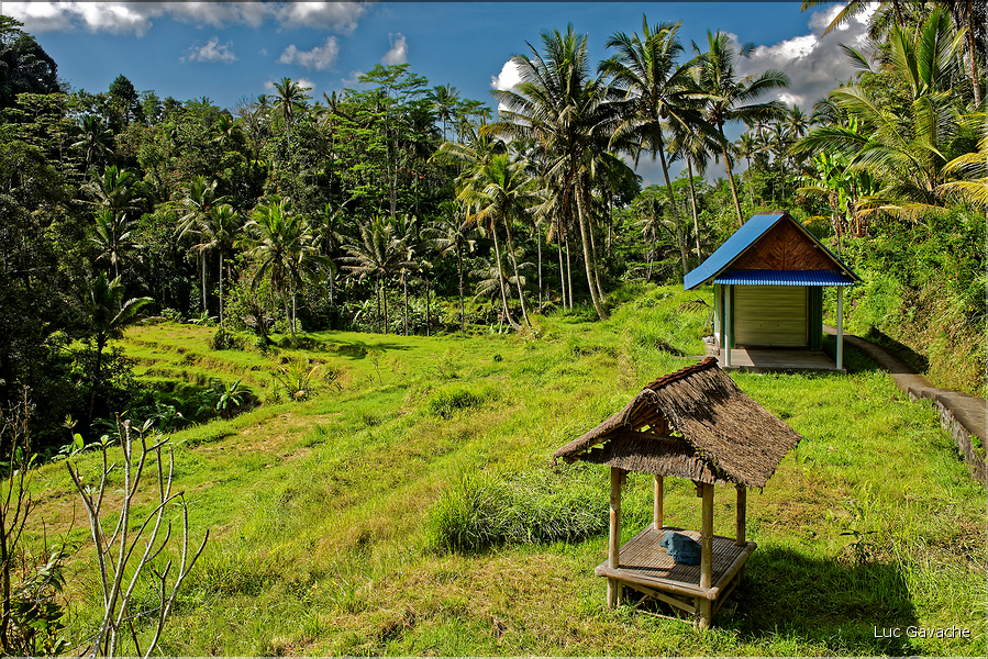 Le temple hindoue de Gunung Kawi se trouve au fond d'une vallée luxuriante. (11)