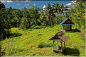Le temple hindoue de Gunung Kawi se trouve au fond d'une vallée luxuriante. (11)