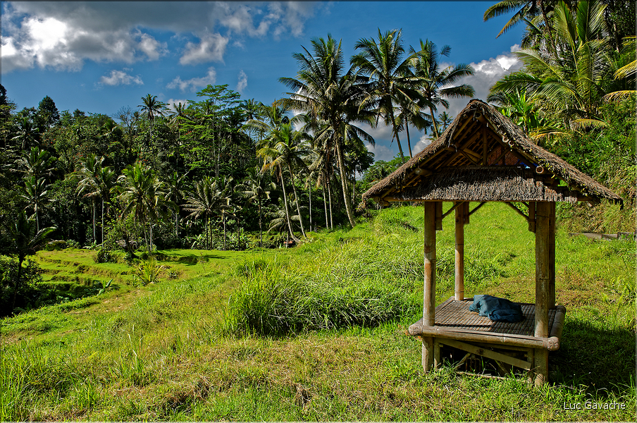 Le temple hindoue de Gunung Kawi se trouve au fond d'une vallée luxuriante. (13)