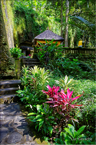 Le temple hindoue de Gunung Kawi se trouve au fond d'une vallée luxuriante. (16)