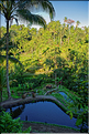 À Bali les rizières sont partout. Ici celles de Telgallalang près d'Ubud. (3)
