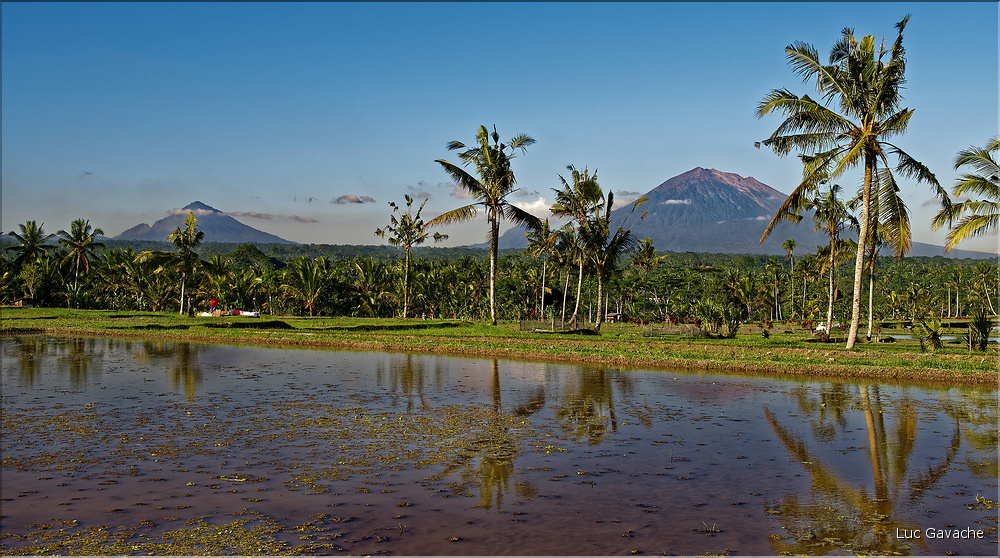 À Bali les rizières sont partout. Ici celles près d'Ubud avec en fond les volcans situés plus à l'est. (1)