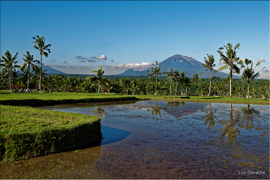 À Bali les rizières sont partout. Ici celles près d'Ubud avec en fond les volcans situés plus à l'est. (3)