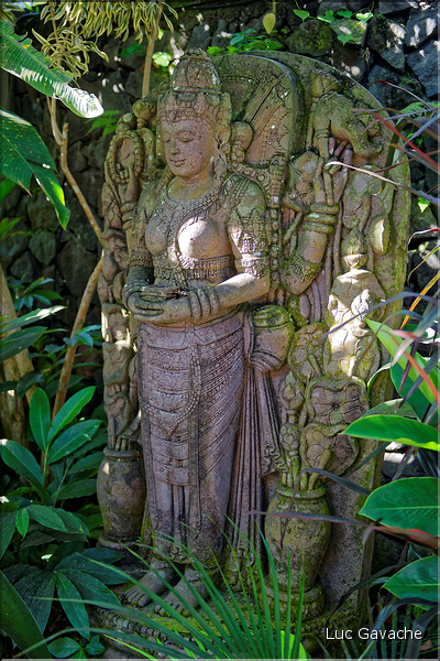 Hôtel de charme à Ubud. (4)