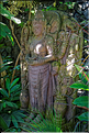 Hôtel de charme à Ubud. (4)