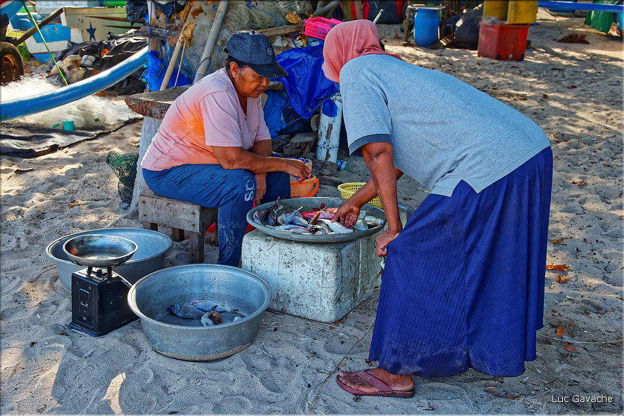 Les ventes de poissons se font également sur la plage de Jimbaran. (1)