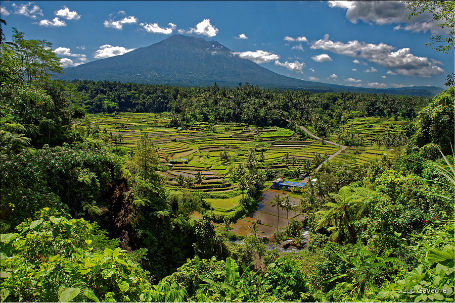 Les rizières de Mahagiri et le volcan Agung, aussi nommé la montagne sacrée. (1)