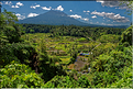 Les rizières de Mahagiri et le volcan Agung, aussi nommé la montagne sacrée. (1)