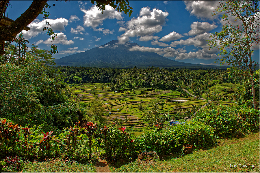 Les rizières de Mahagiri et le volcan Agung, aussi nommé la montagne sacrée. (2)
