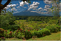 Les rizières de Mahagiri et le volcan Agung, aussi nommé la montagne sacrée. (2)
