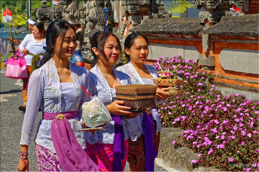 ..., surtout en ce jour de Kuningan, qui marque la fin de la fête de Galungan, et oú tous les hindouistes se doivent de venir se recueillir dans un temple. (23)