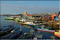 Le vieux port de Makassar. (8)