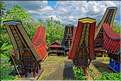 Le pays Toraja est une alternance de villages typiques et de cultures, principalement de riz. (29)