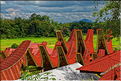 Le pays Toraja est une alternance de villages typiques et de cultures, principalement de riz. (36)