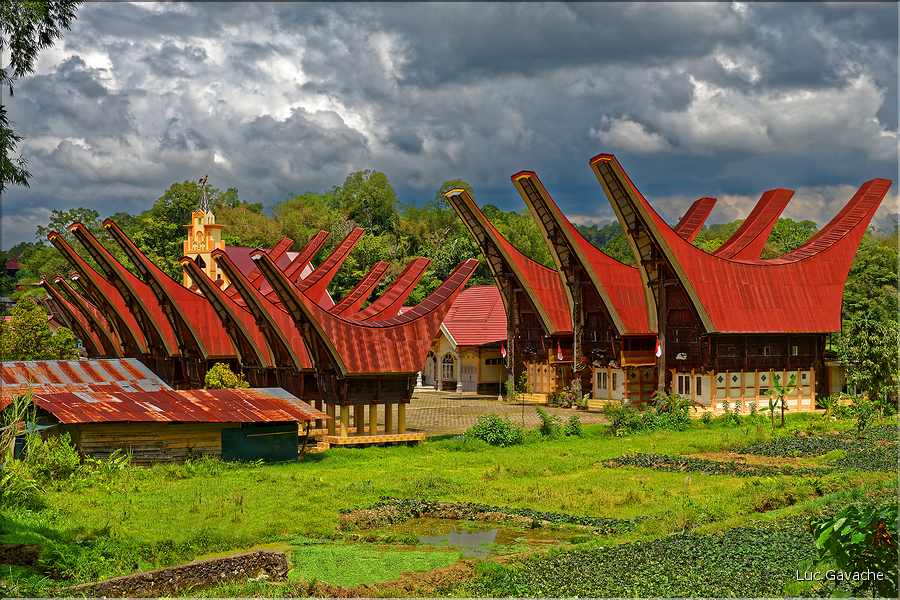 Le pays Toraja est une alternance de villages typiques et de cultures, principalement de riz. (37)