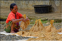 Dans la région de Lempo et de Batutumonga la culture du riz est omniprésente. (14)
