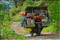La vie dans la campagne Toraja dans la région de Batutumonga. (2) Épicier ambulant.