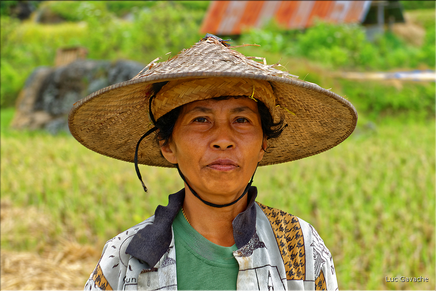 La vie dans la campagne Toraja dans la région de Batutumonga. (13)