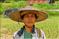 La vie dans la campagne Toraja dans la région de Batutumonga. (13)