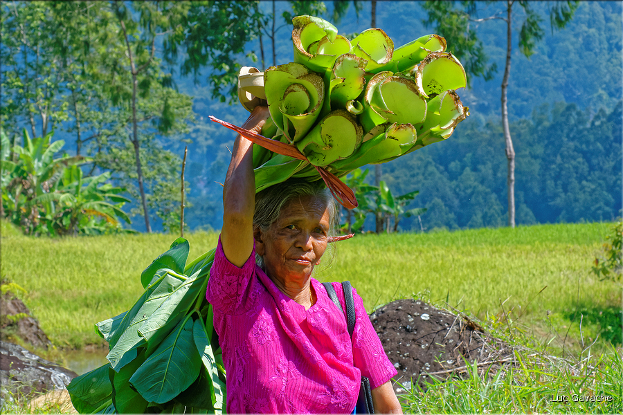 La vie dans la campagne Toraja dans la région de Batutumonga. (21)