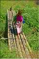 La vie dans la campagne Toraja dans la région de Batutumonga. (28)