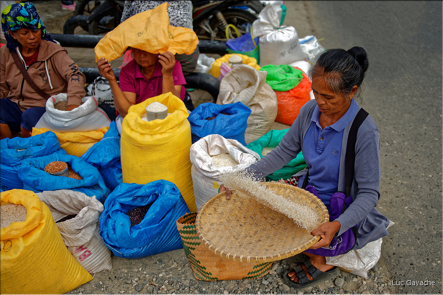 Un des marchés les plus renommés du pays Toraja est celui de Bolu. (2)