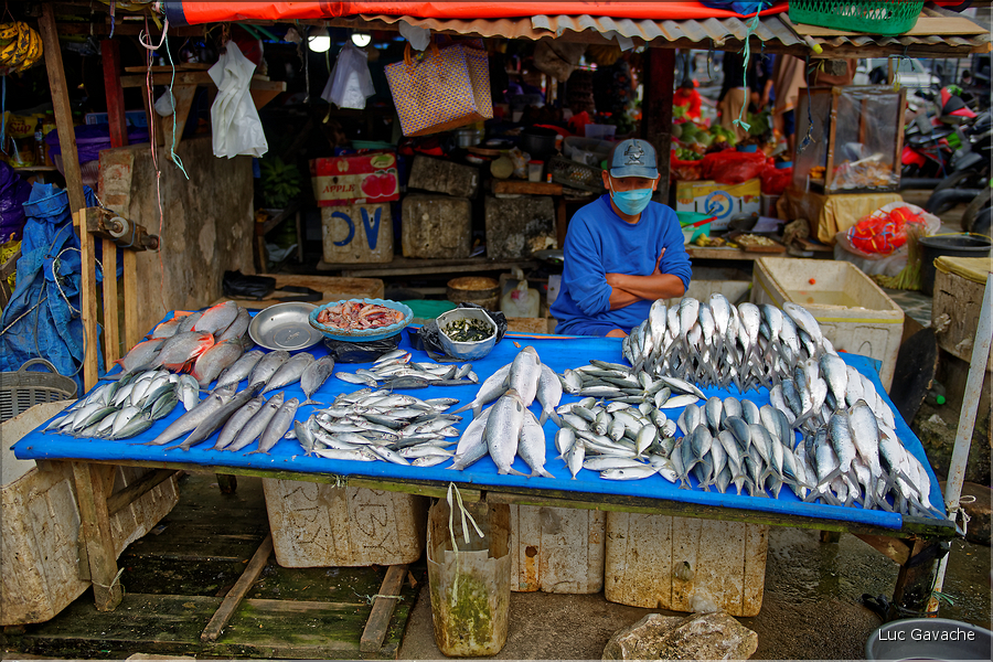 Un des marchés les plus renommés du pays Toraja est celui de Bolu. (3)