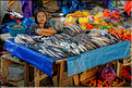 Un des marchés les plus renommés du pays Toraja est celui de Bolu. (37)