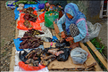 Un des marchés les plus renommés du pays Toraja est celui de Bolu. (42)