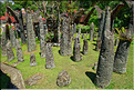 Le site de Bori possède de nombreux menhirs qui matérialisent les différentes funérailles. (3)