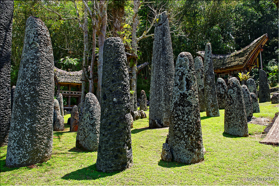 Le site de Bori possède de nombreux menhirs qui matérialisent les différentes funérailles. (6)