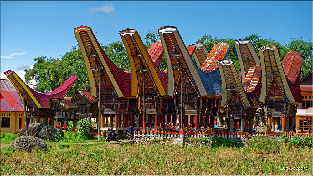 La cérémonie funéraire Toraja est de la première importance pour eux, elle se déroule ici dans un village typique de montagne. (2)