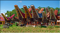 La cérémonie funéraire Toraja est de la première importance pour eux, elle se déroule ici dans un village typique de montagne. (2)