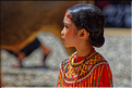 Les jeunes de la famille ont revêtu la tenue traditionnelle Toraja. (11)