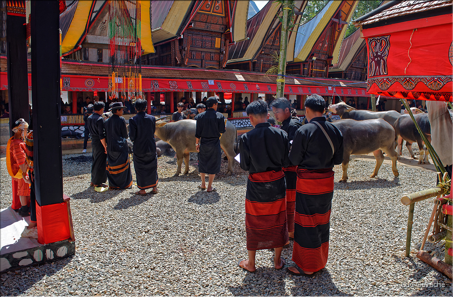 Autres tenues traditionnelles Toraja. (1)