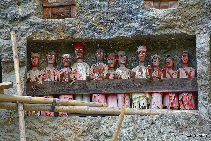 Les sarcophages sont accompagnés des tau-tau, qui sont des statues de bois à effigie du défunt avec qui plus est leurs vêtements. Ici ceux de Lemo. (5)