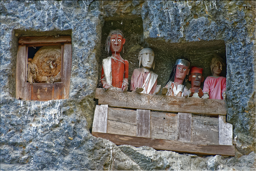 Les sarcophages sont accompagnés des tau-tau, qui sont des statues de bois à effigie du défunt avec qui plus est leurs vêtements. Ici ceux de Lemo. (6)