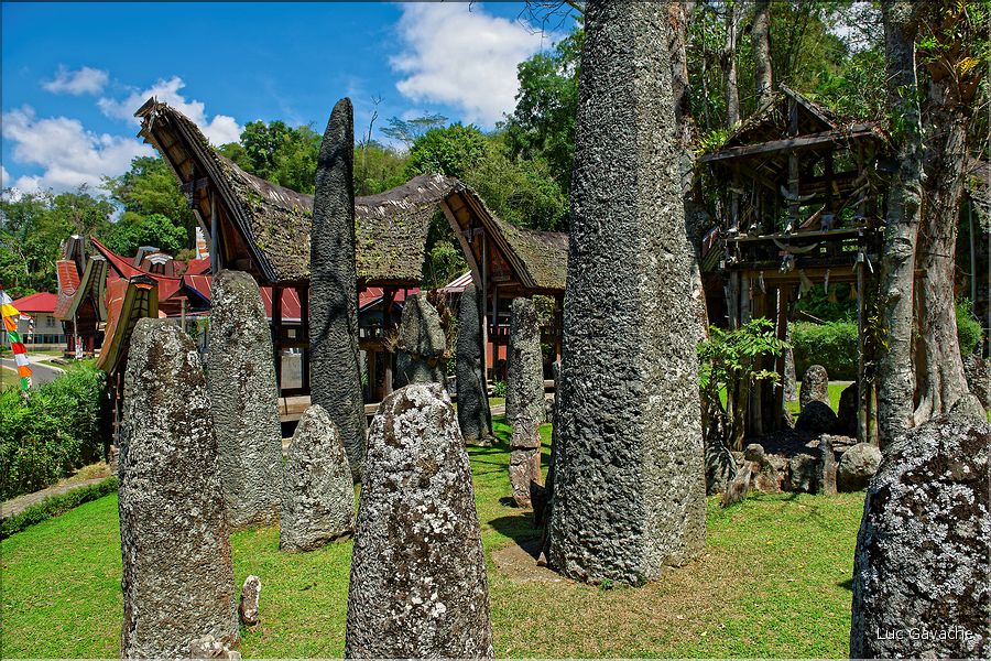 Le site de Bori possède de nombreux menhirs qui matérialisent les différentes funérailles. (3)