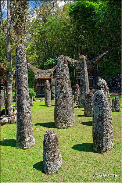 Le site de Bori possède de nombreux menhirs qui matérialisent les différentes funérailles. (5)