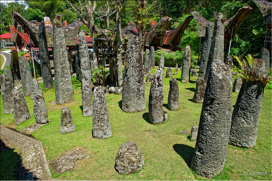 Le site de Bori possède de nombreux menhirs qui matérialisent les différentes funérailles. (6)