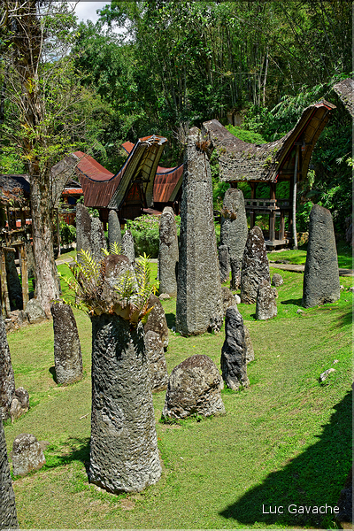 Le site de Bori possède de nombreux menhirs qui matérialisent les différentes funérailles. (8)