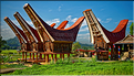 Les très originales maisons Toraja qui semblent rappeler les cornes des buffles (Rantepao). (3)