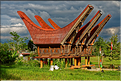 Les très originales maisons Toraja qui semblent rappeler les cornes des buffles (Rantepao). (4)