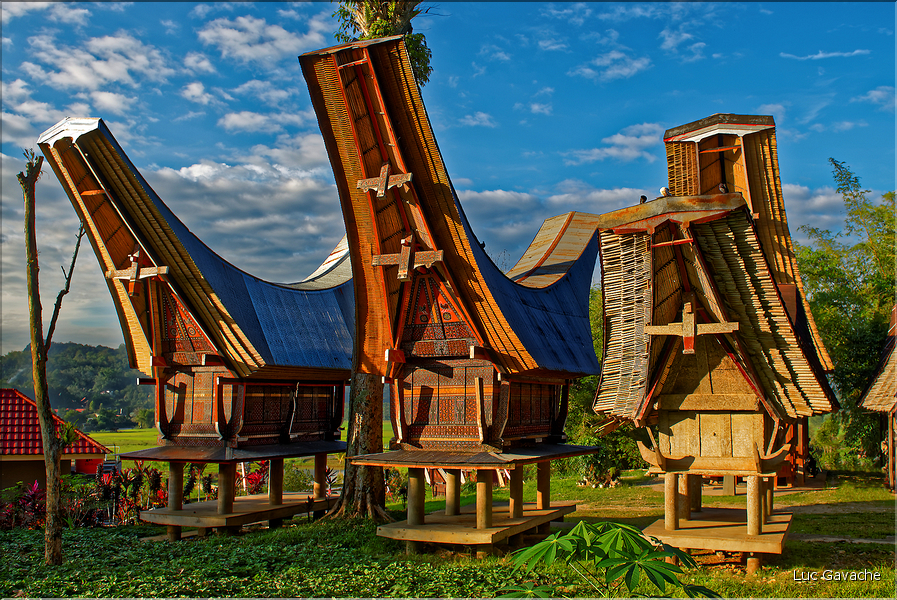 Les très originales maisons Toraja qui semblent rappeler les cornes des buffles (Rantepao). (5)